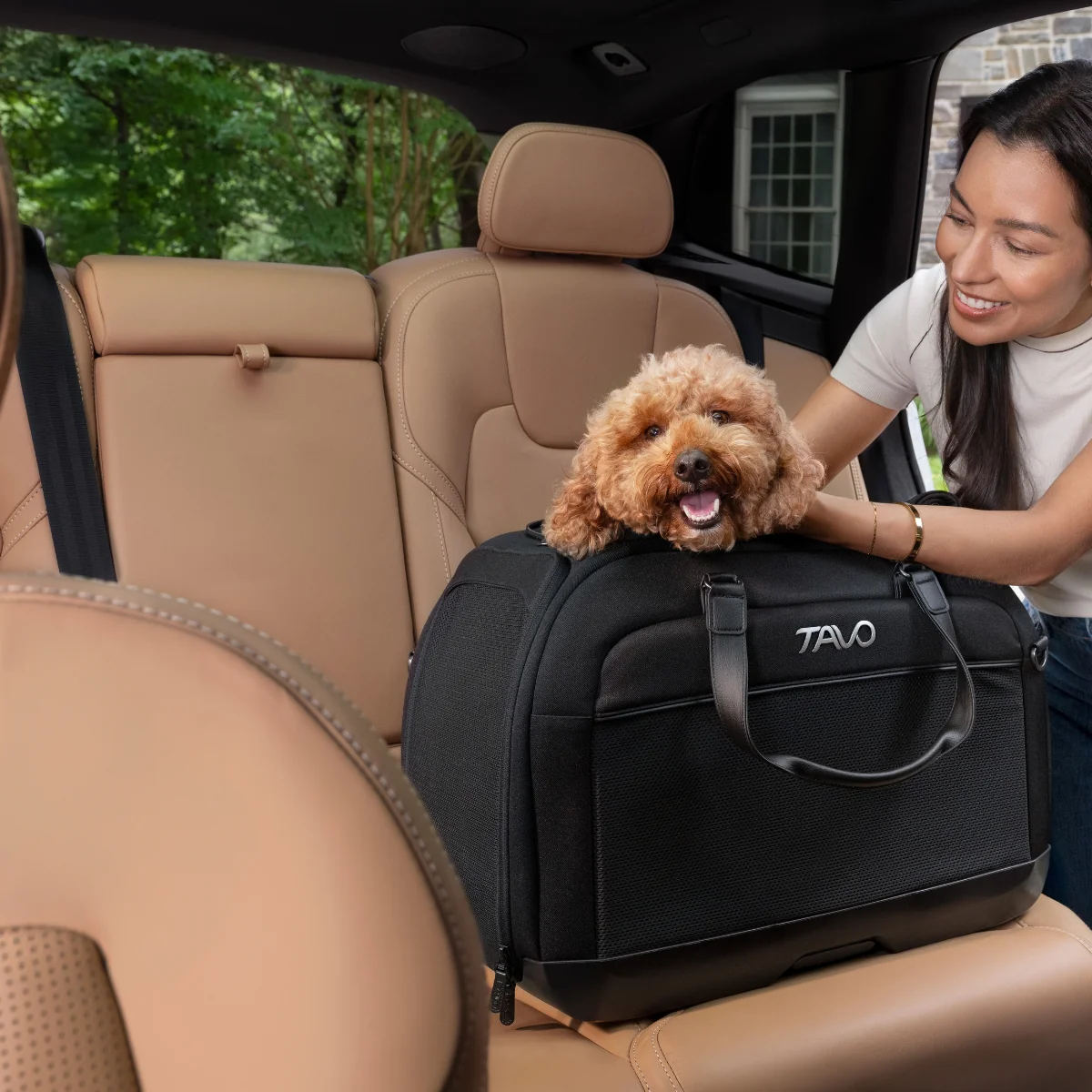 Tavo Hendrick Crash-tested dog carrier for car (onyx) Medium